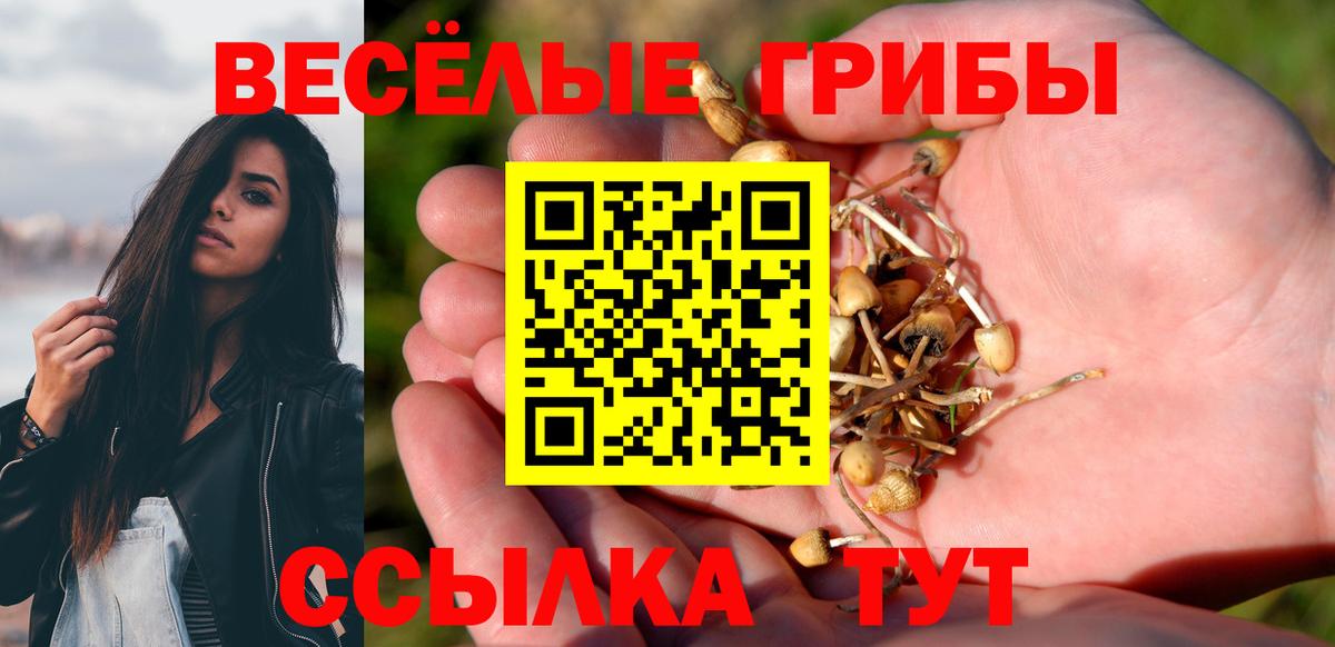 где можно купить наркотик  Псилоцибиновые грибы мицелий  Галлюциногенные грибы Psilocybe  Вход с VPN  Павлово 